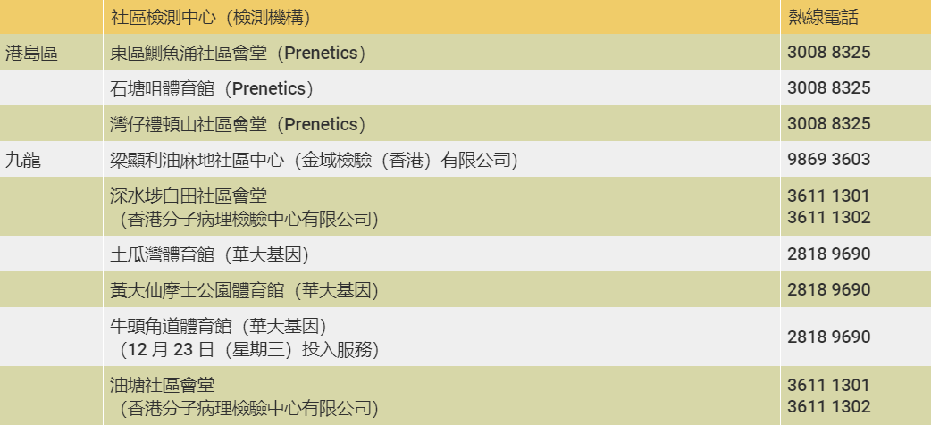 澳门今天晚上特马开什么,澳门今晚特马开彩揭秘，探索运气与概率的奇妙之旅