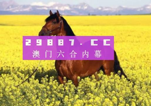 澳门六开彩天天正版资料2023年,澳门六开彩天天正版资料探索与解析（2023年最新版）